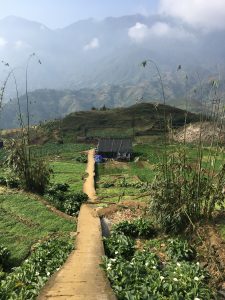 Steep path down the slope